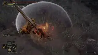 Lion's Claw is fun - Elden Ring Invasions