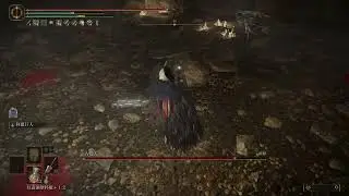 【艾爾登法環DLC】NG+7古龍人 - Elden Ring DLC