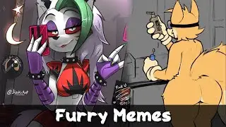 Furry Memes Social media is weird sometimes
