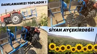 ÇEKİRDEĞİMİZİN DAMLAMASINI TOPLADIK !
