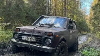 Воскресный вертикальный оффроуд.