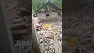 21 мая 2024 г.