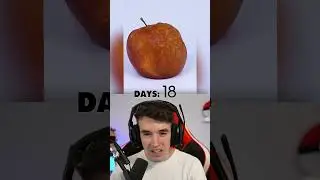 Camara Rapida De Una Manzana Con el Tiempo 