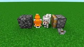wolf + fox = ???
