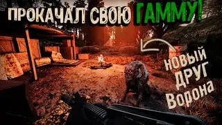 Новые МОДЫ - новые впечатления! Путь Ворона #21 Прохождение GAMMA 0.9.3.1 S.T.A.L.K.E.R. Anomaly