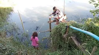 FOMOS PESCAR LAMBARI PARA PEGAR PIRARUCU GRANDE @izabellypretti387