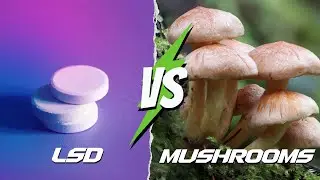 LSD vs. Mushrooms: Side Effects, Ingestion Methods