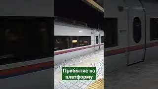 Сапсан