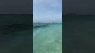 31 мая 2024 г.