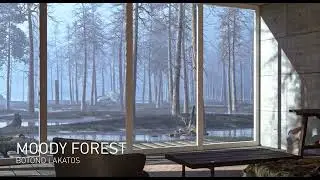 Interior in a Moody Forest - Architectural visualisation - 3ds Max, Redshift