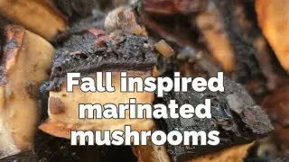 Fall Inspired Marinated Mushrooms (vegan & oil free)
