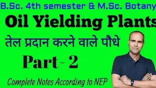 Oil yielding plants For B.Sc.4th semester, M.Sc.( Botany) || तेल प्रदान करने वाले पौधे #botanyworld