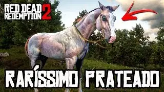 RED DEAD REDEMPTION 2 - COMO PEGAR OS CAVALOS MAIS RAROS DO JOGO DE GRAÇA! || EM QUALQUER CAPÍTULO