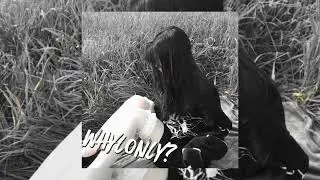 Молодой Платон - МОЯ ДЕВОЧКА (speed up)
