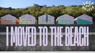 I Moved To The Beach