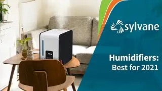 Best Humidifiers for 2021 | Sylvane
