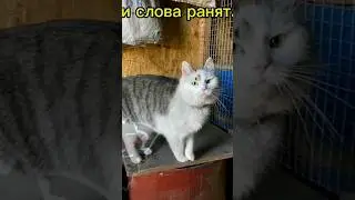 (Видео не моё,а из лайка)А они ведь подарили нам детство...