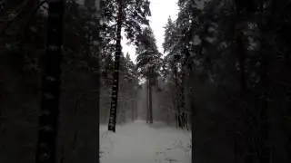 Spring Blizzard 1