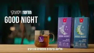 ויסוצקי GOOD NIGHT