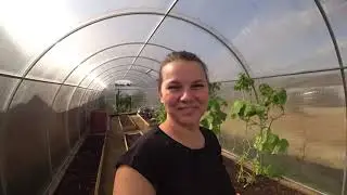 Обшиваем цоколь. Убираем в теплице. Суп-пюре из тыквы.