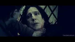 Harry Potter ϟ Deathly Hallows