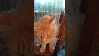 Ох доля тяжёлая ,