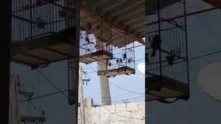 20 de setembro de 2020
