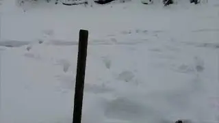 Ловля щуки на жерлицы. На что клюёт щука? Сколько рыбы я поймал за зиму? 😁🎣