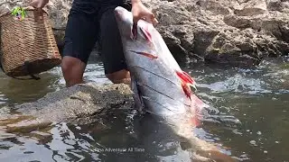 Wow 10KG Fish