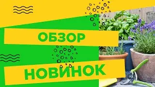 ОБЗОР НОВИНОК!!!