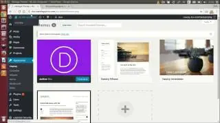 How to Install and Activate Divi Elegant Theme
