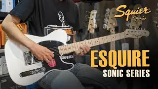 Pickup Gitar ini Cuma 1 - Squier Sonic Esquier