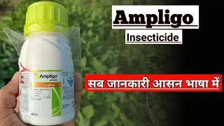 ampligo insecticide uses in hindi || Lambda-Cyhalothrin 4.6% + Chlorantraniliprole 9.3% Zc ||