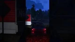 ЭТО  СМЕШНЫЕ ВОРЫ 