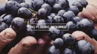 Elegant Slideshow. After Effects Project on Videohive.net