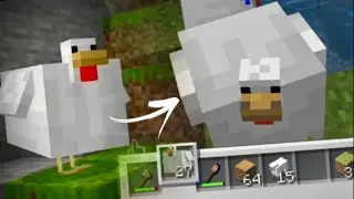 How to get thicc chicken in Minecraft Earth