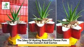 Amazing Ideas with Cement and Carton box | Making Concrete Flower Pots From Cardboard Boxes