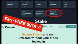 DeFi Liquid Staking Explained - Marinade Finance and SolBlaze