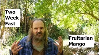 Two Week Fast: Mango's Transformative Journey