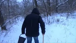 Грибы зимой