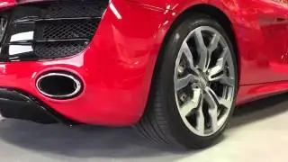 Audi R8 600R+ Enzo Racing X-Pipe