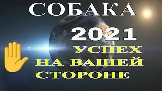 Собака в 2021 году, году Быка. Восточный гороскоп на 2021 год.