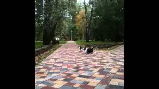 IMG 0984