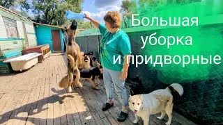 Большая уборка и новенькая Лилу