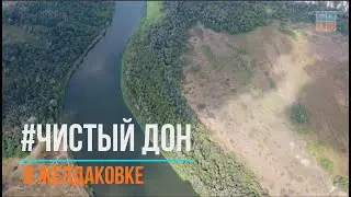 Чистый Дон 21.08.2021