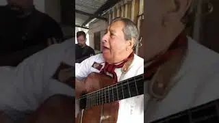 PRECIOSA DUEÑA DE CASA LAS VOCES DE ORAN 2021