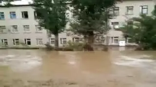 Трагедия от которой весь мир в Шоке