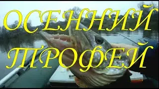 ДВА ТРОФЕЯ В КОНЦЕ ОСЕНИ \ Щука на джиг \  