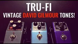 Vintage David Gilmour tones with Tru-Fi Two Face, Ghost Vibe and 18V Colordriver