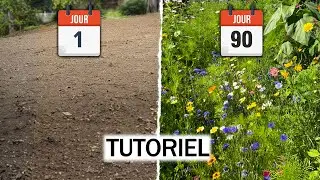 J'ai semé une Prairie de Fleurs Sauvages le Résultat est SUBLIME ! (Jachère Fleurie)